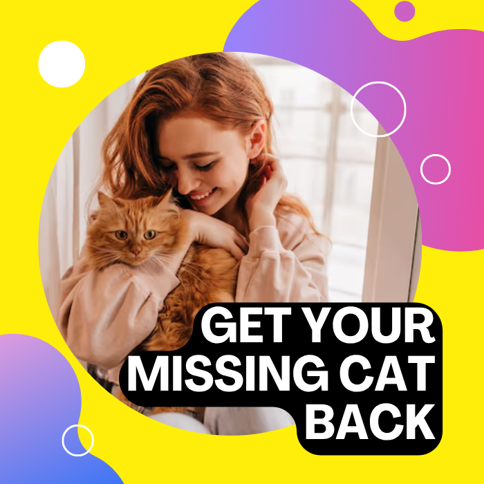 Get your lost cat back 409830840589373440
