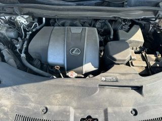 2019 LEXUS RX63288979788931124