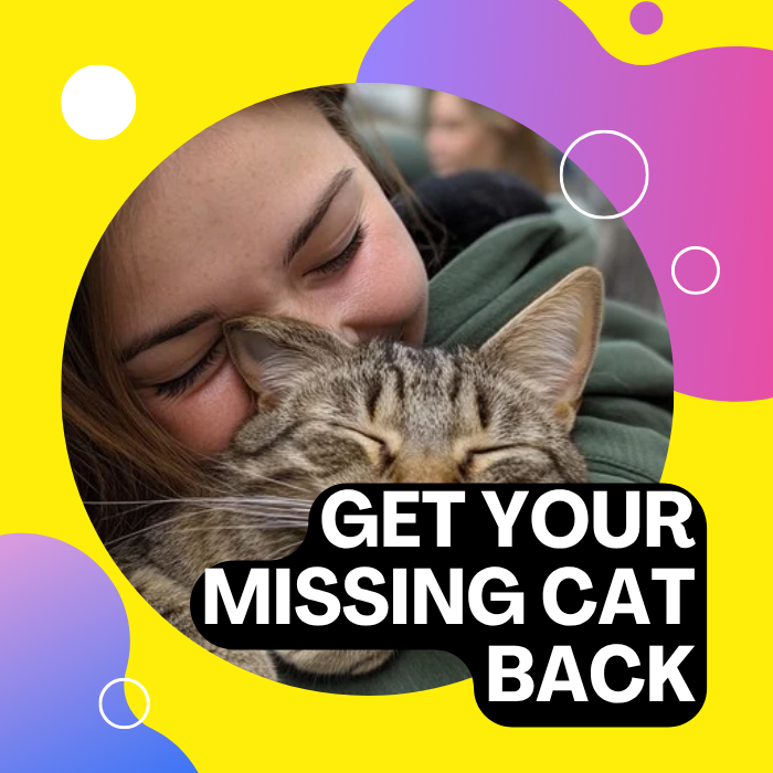 You lost your cat ?