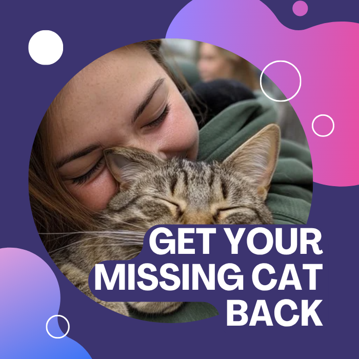 ¿Perdió a su gato?406757588211476480