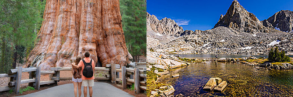 <2 Days> [San Francisco Round Trip | Short Weekend Series | Group of 2] Yosemite National Park + Kings Canyon and Sequoia National Parks Giant Tree Redwood Tour (Including Breakfast)