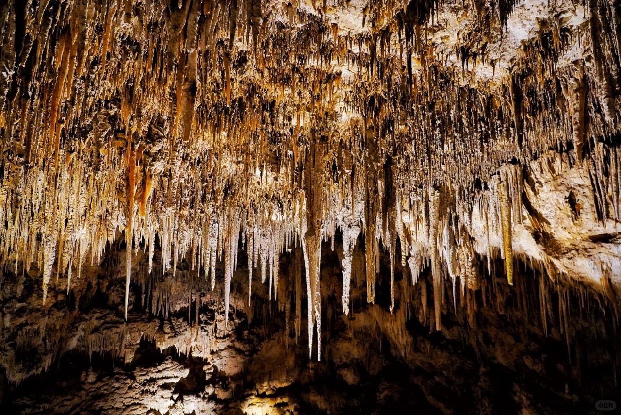 <1 Day> [2-14 People Small Group | Dreamy Scenic Journey] Virginia One-Day Tour · Skyline Drive Beauty Shenandoah National Park + Fascinating Virginia Caverns64119058077314120