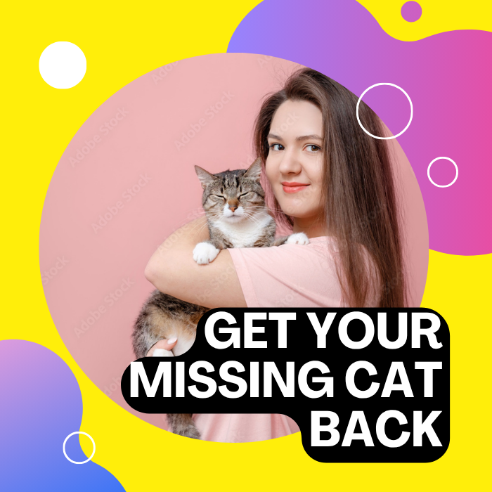 Have a missing cat ?