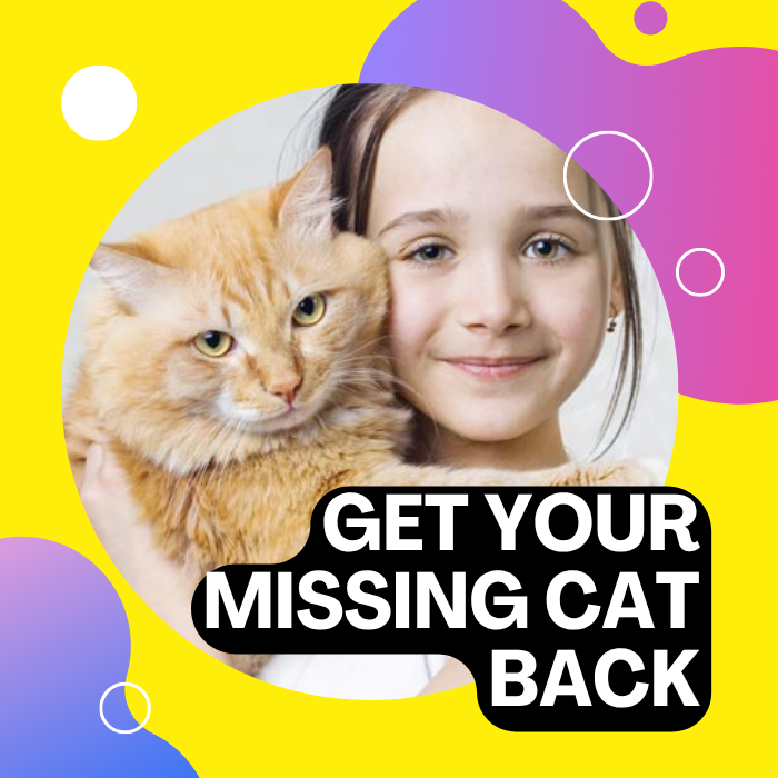 Trae de vuelta a tu gato perdido408430763311769600