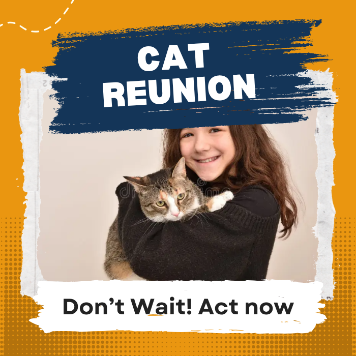 Get your missing cat back408592121637130240