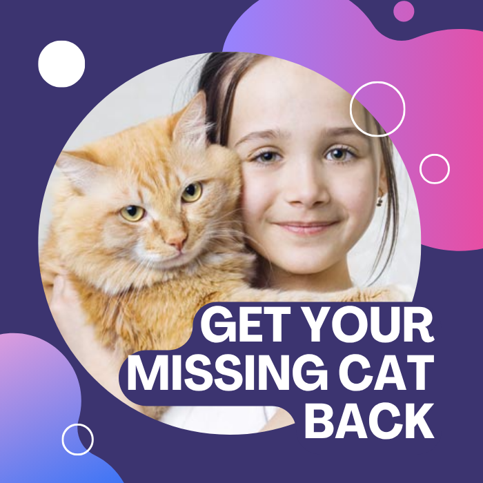 ¿Su gato está desaparecido?406768312879697920