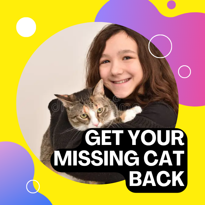 Have a missing cat ?408583772706580480