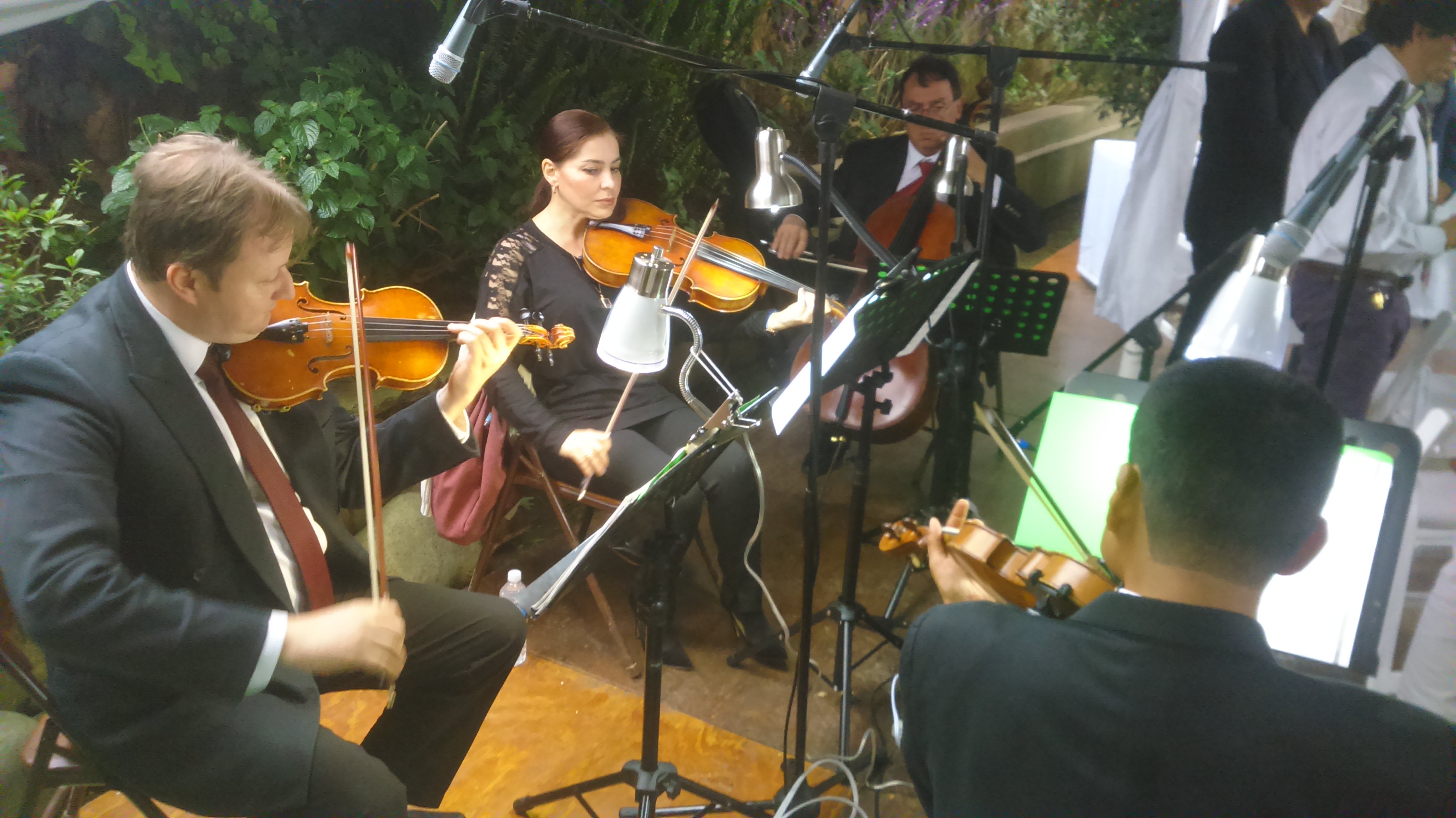 String Quartet Concerts and Sales64988500541954120