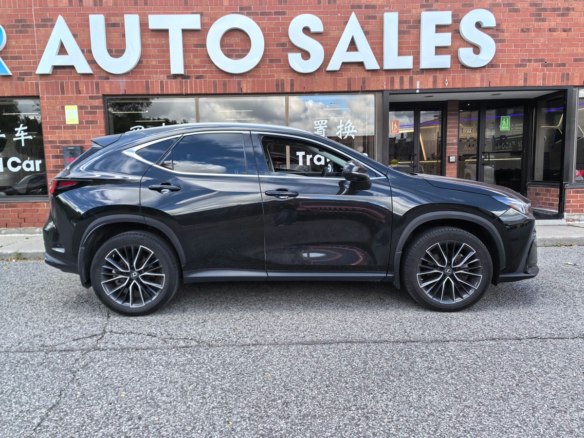 2022 Lexus NX Premium64146572650369123
