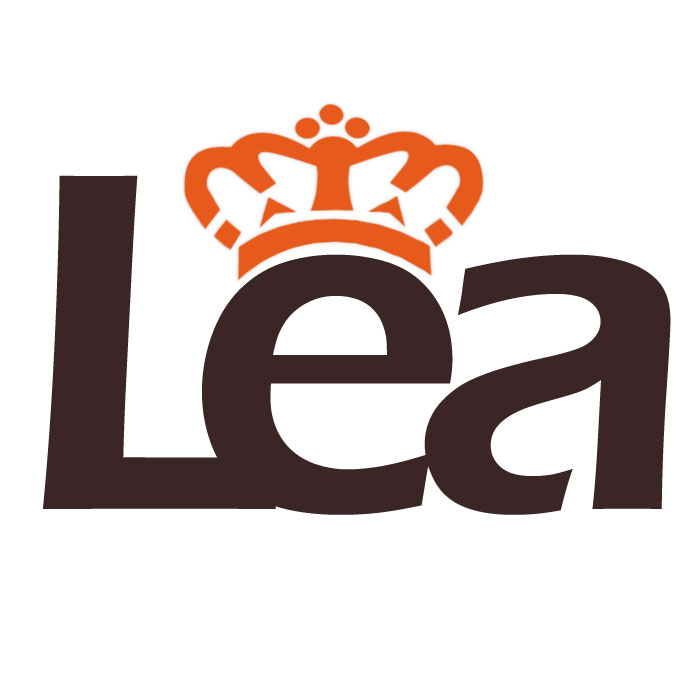 3L Domain and One Word Premium Domain Name  LEA · com for sale63128687161603121