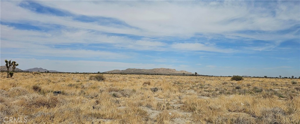 0 120TH ST E / Avenue P-8 Palmdale CA, 9359164433211324675120