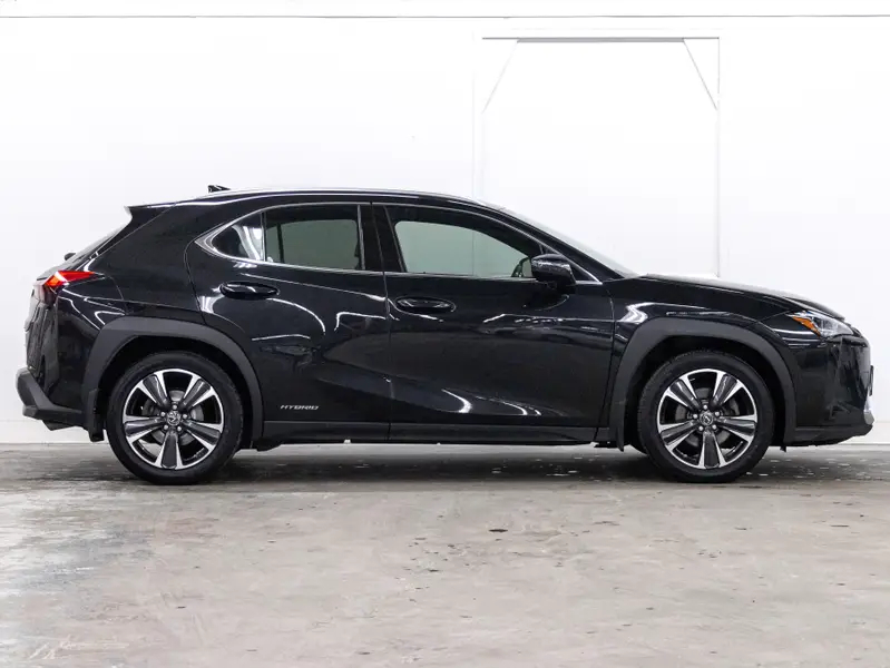 2019 Lexus UX 250h