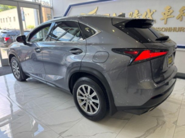 2021 LEXUS NX COMFORT63334756714627122