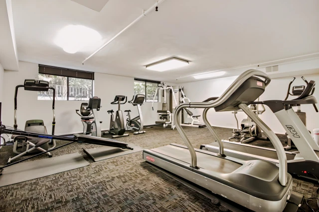 Encino Majestic63581232638721122