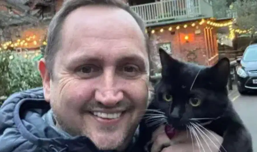 Have a lost cat ?408436319653744641