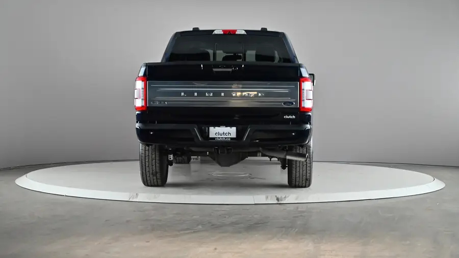 2022 Ford F-15064056529501825124