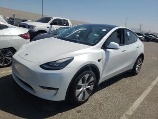 2021 TESLA MODEL Y63759037446019120