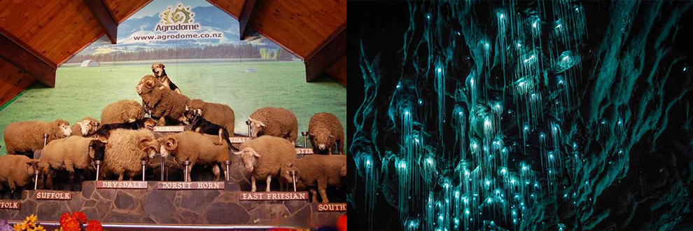 <2 Days> North Island Middle-earth Experience Tour (Depart Every Saturday)64119286671105121