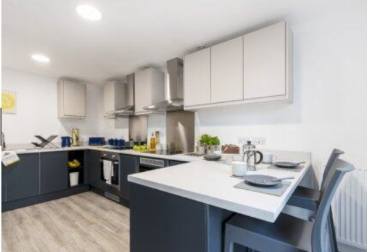 Pine Mill64594218616577122