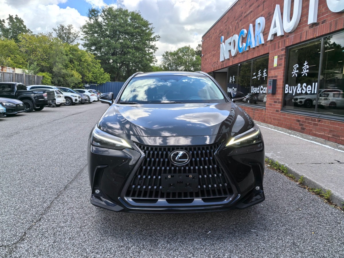 2022﻿ ﻿Lexus﻿ ﻿NX﻿ ﻿Premium64146572650369121