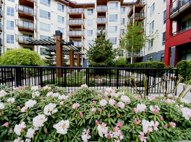 217-3581 Ross Dr