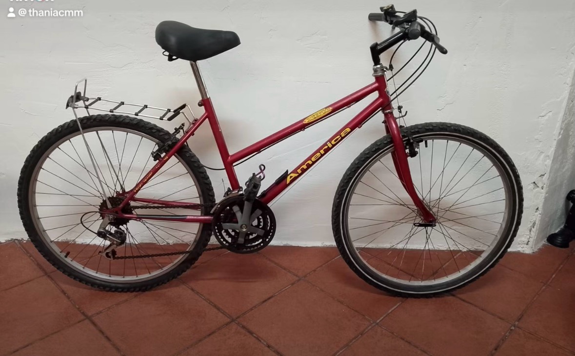Red mountain bike in good condition