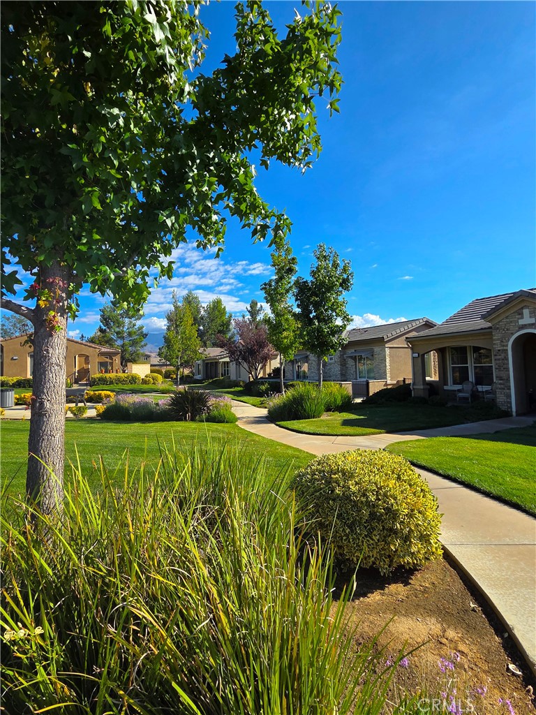 1566 Quiet, Beaumont CA, 9222363878387893505122
