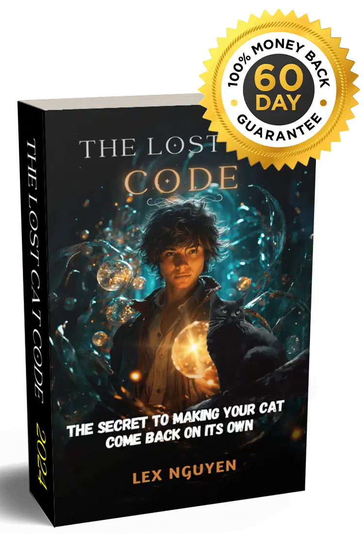 Bring your beloved cat back home
