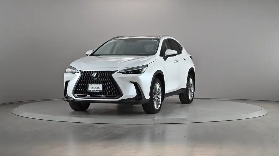 2022 Lexus NX64551536231426121