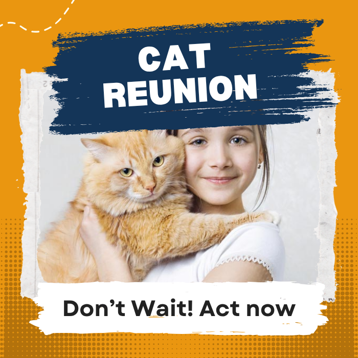 Look for your missing cat in hopeless ?