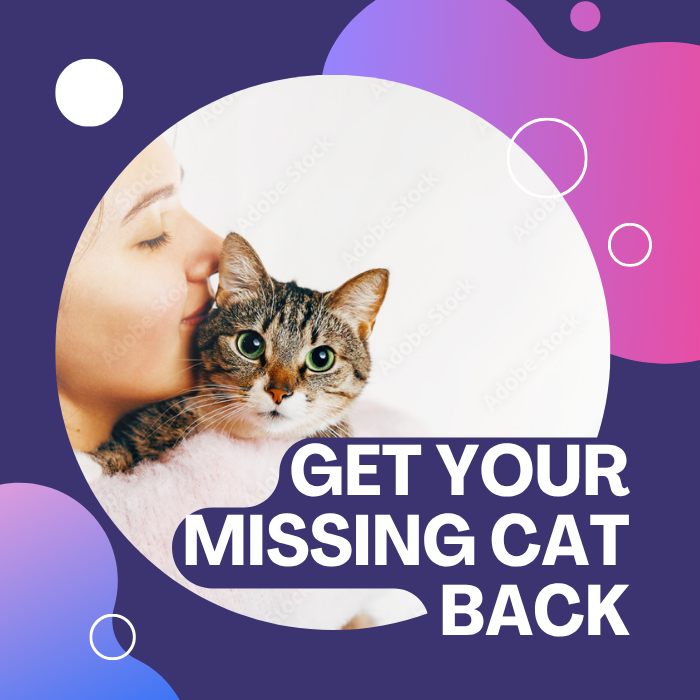 Get your missing cat back406761463381370880
