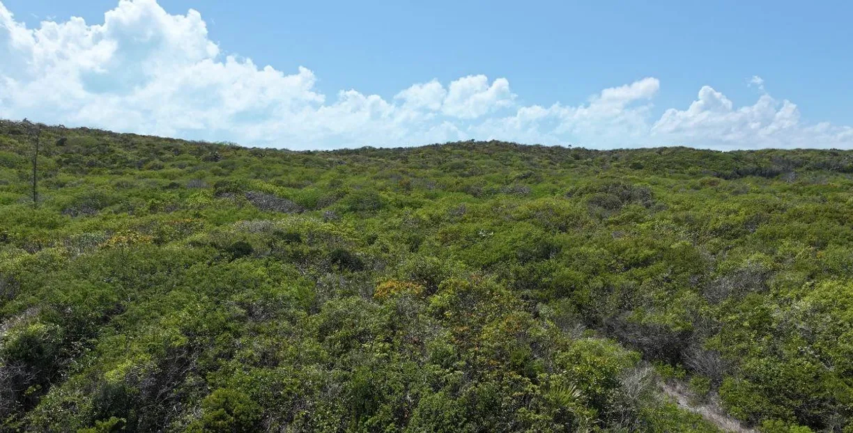 ISLA LARGA