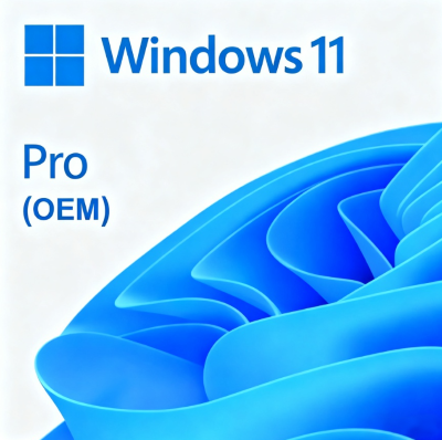 Windows 11 Professional Permanent License (OEM)