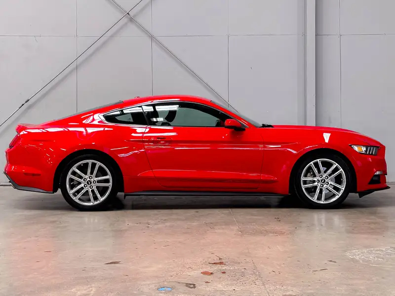 2017 Ford Mustang63449627705345124
