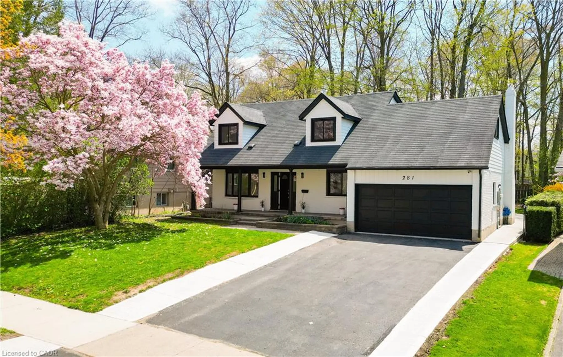 281 Parkmount, Basement