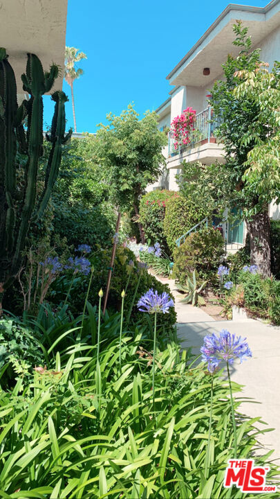 11081 ROSE Avenue 10 Los Angeles CA, 9003464113107329282122