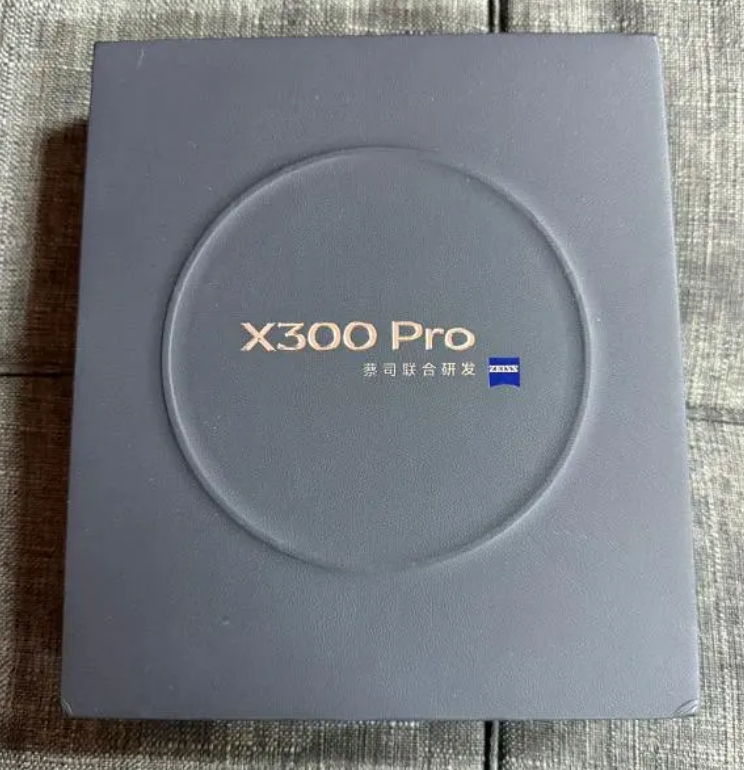 vivo 300 Pro65084438300033121