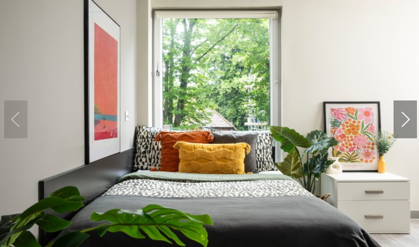 Beech House64583471132161120