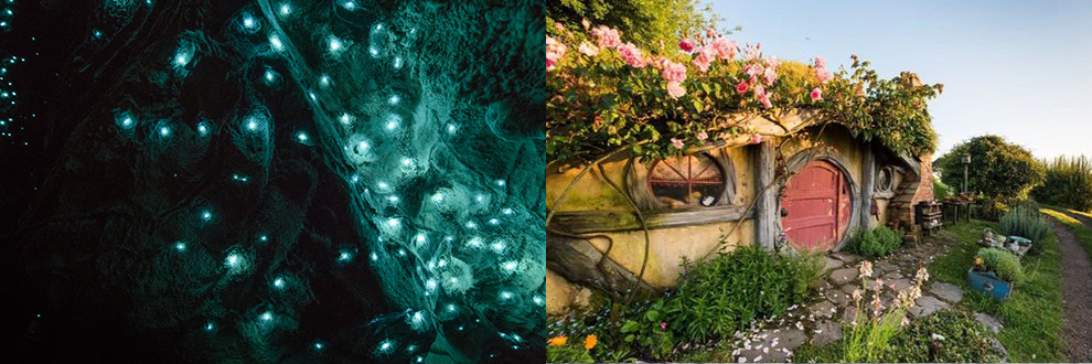 <2 Days> North Island Middle-earth Experience Tour (Depart Every Saturday)64119286671105123