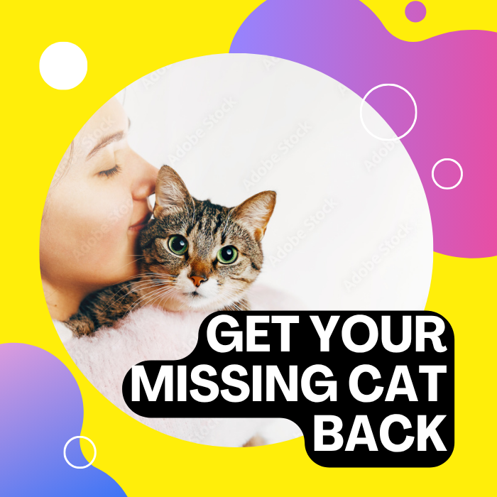 Bring your missing cat back407918728268359680
